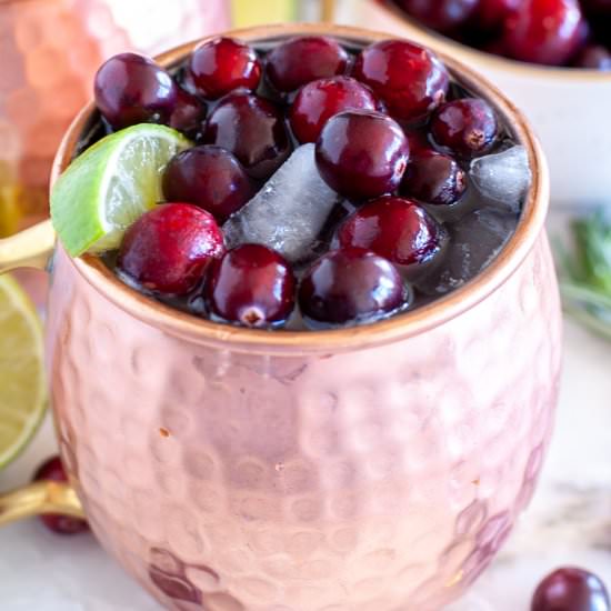 Cranberry Moscow Mule - Recipe photo by foodlovinfamily