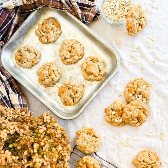 Oatmeal Scotchies - Recipe photo by Elle Jay at Home