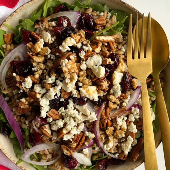 Easy Farro Salad - Recipe photo by frozen_bananas_