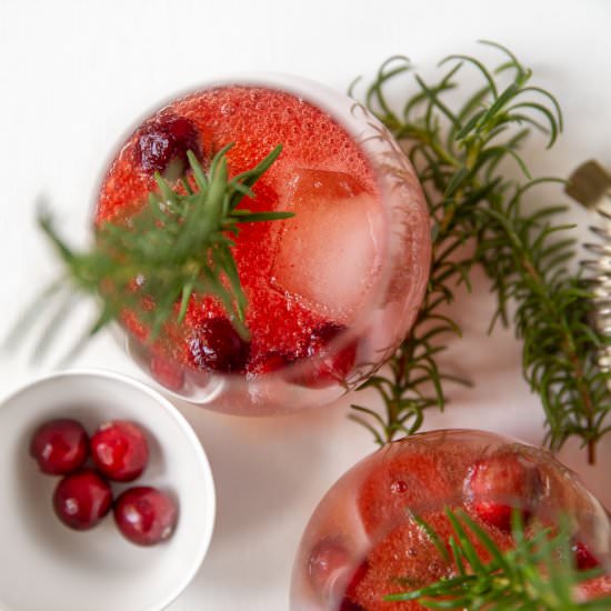 Cranberry and Bourbon Cocktail - Recipe photo by travelingspiceco
