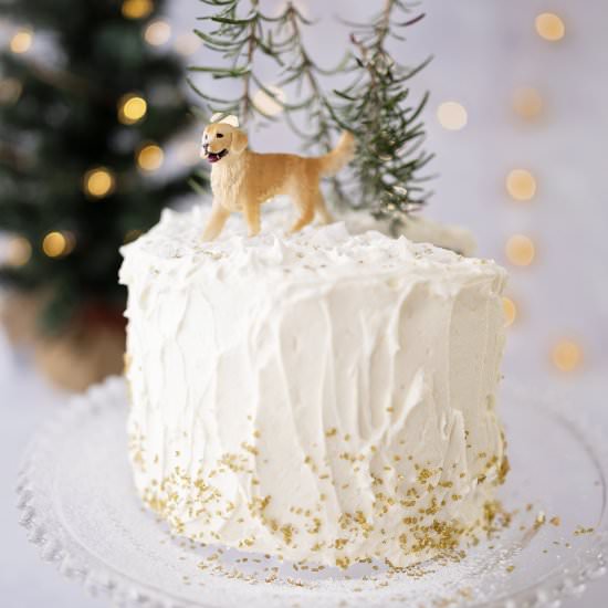 Christmas Cake - Recipe photo by Pattymac Makes