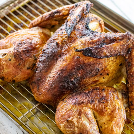 South American Butterflied Turkey - Recipe photo by Belquistwist