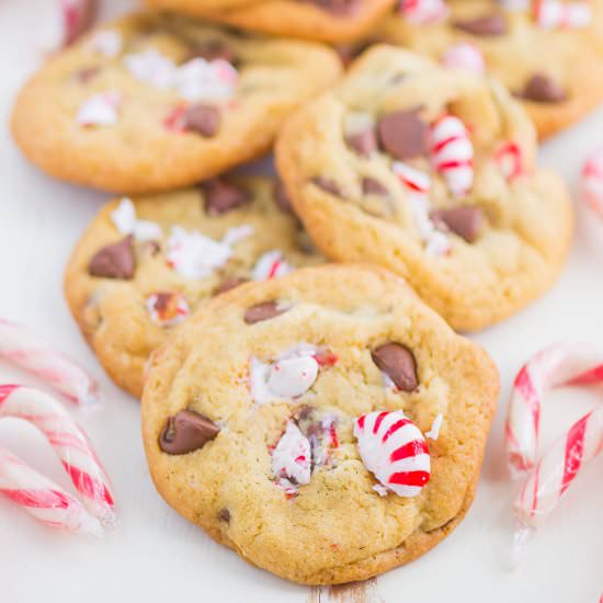 Peppermint Chocolate Chip Cookies - Recipe photo by pumpkinnspice