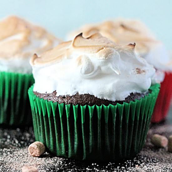 Hot Cocoa Cupcakes - Recipe photo by biggreenhouse