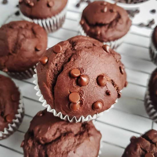 double chocolate muffins - Recipe photo by brokebankvegan