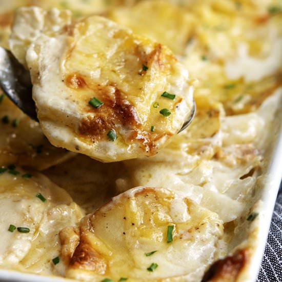 Gratin Dauphinois - Recipe photo by PinchandSwirl