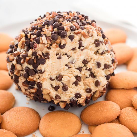 Chocolate Chip Cheese Ball - Recipe photo by buildyourbite