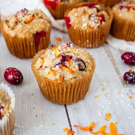 Tangy Cranberry Oatmeal Muffins - Recipe photo by Bite Out of Life Nutrition