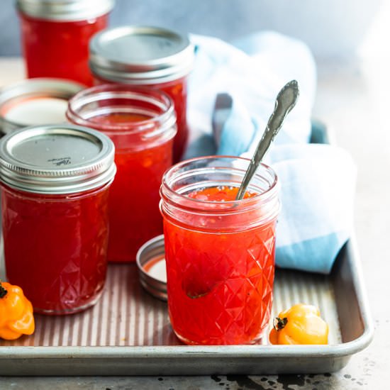 Red Pepper Jelly - Recipe photo by culinaryhill