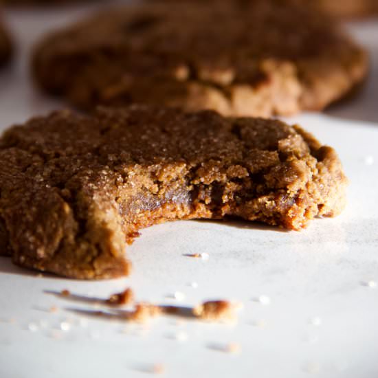 Fresh Ginger-Molasses Cookies - Recipe photo by lanebakery