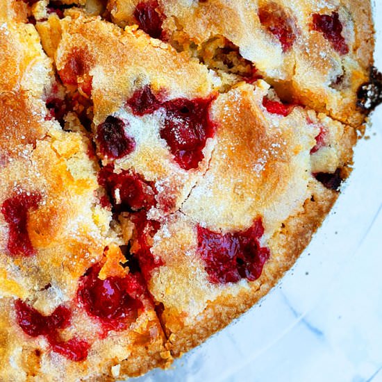 Crustless Cranberry Pie - Recipe photo by Cakewhiz