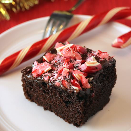 Minty chocolate malt cake - Recipe photo by Food Gal