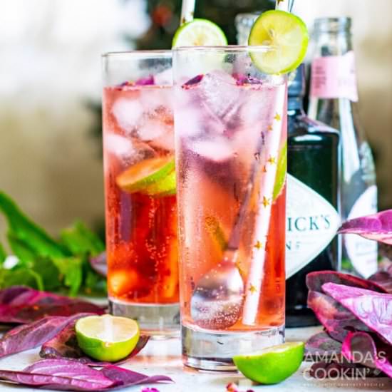 Pink Gin & Tonic - Recipe photo by amandascookin