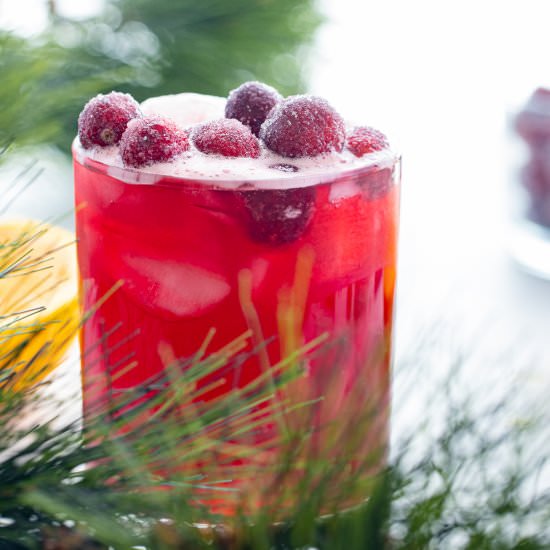 Cranberry Orange Mocktail - Recipe photo by Aredspatula