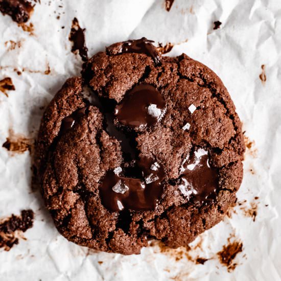 Vegan Double Chocolate Cookies - Recipe photo by Shuangys Kitchensink