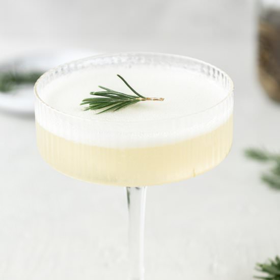 rosemary lemon sgroppino - Recipe photo by withspice