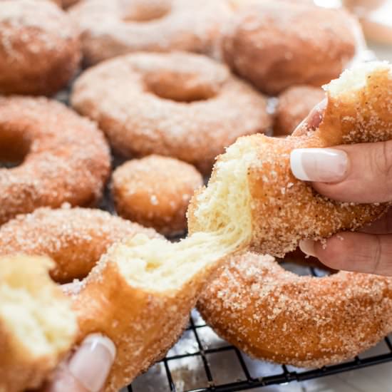 Fluffy Buttermilk Doughnuts - Recipe photo by Home Grown Happiness