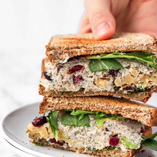 Cranberry Walnut Chicken Salad - Recipe photo by The Traveling Dietitian