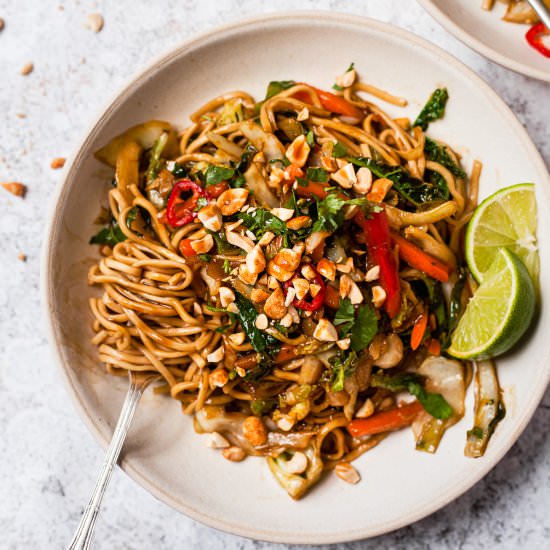 15 Minute Stir Fry Noodles - Recipe photo by Salted Mint