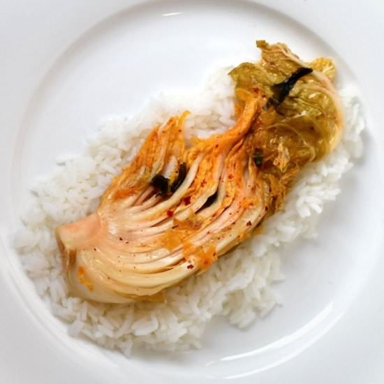 Simple Cabbage Tsukemono - Recipe photo by Emillie