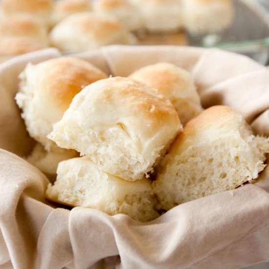 Soft Yeast Dinner Rolls - Recipe photo by browniebites