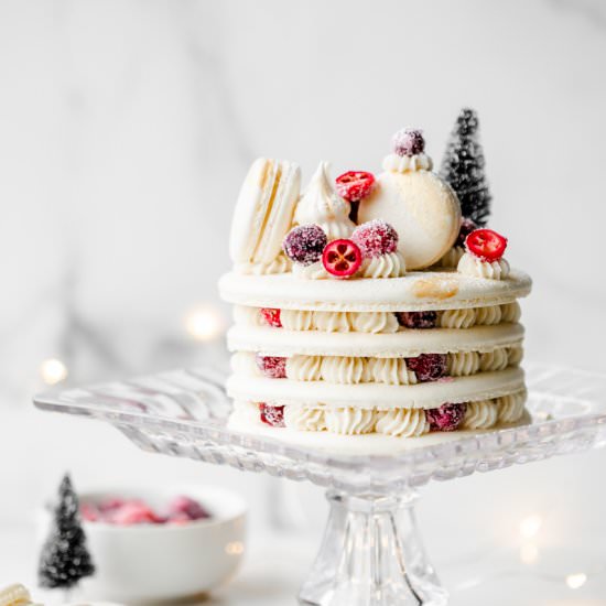 Cranberry Vanilla Macaron Cake - Recipe photo by poshlittledesigns
