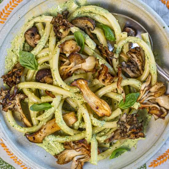 mushrooms w vegan pine nut sauce - Recipe photo by a zest for life