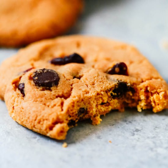 Cranberry Chocolate Chip Cookies - Recipe photo by PrimaveraKitchen