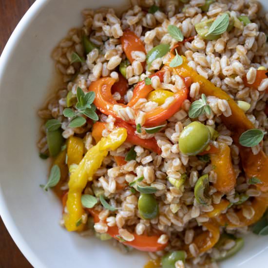 Roasted Bell Pepper w/Italian Farro - Recipe photo by GiangisKitchen