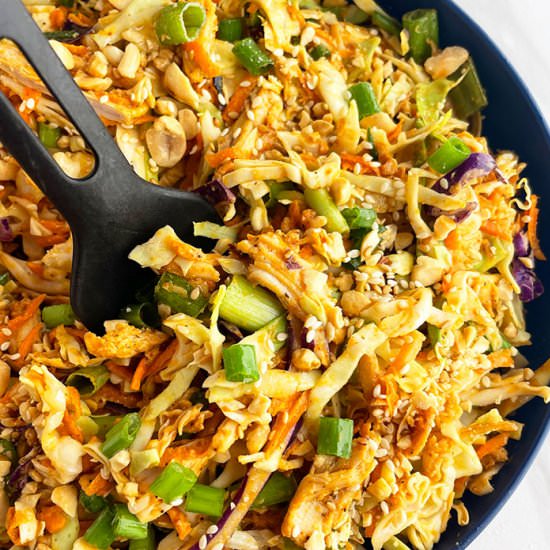 Thai Chicken Salad - Recipe photo by 1PotRecipes