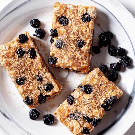 protein bars - Recipe photo by chewoutloud