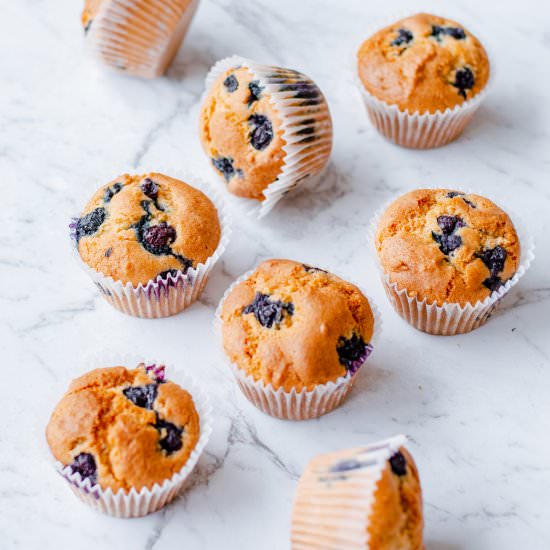 Thermomix Blueberry Muffins - Recipe photo by Thermomix Diva