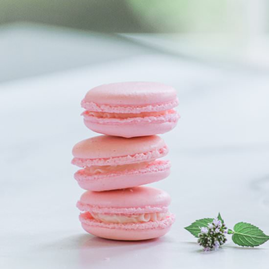 Cotton Candy Macarons - Recipe photo by House of Elyn Ryn