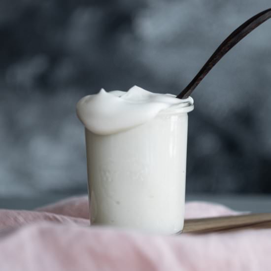 Vegan Mayo - Recipe photo by nothangryanymore
