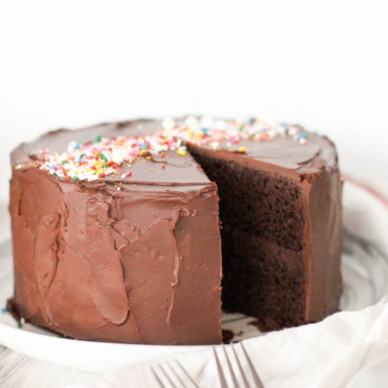 High-Altitude Chocolate Cake - Recipe photo by DoughEyedBlog