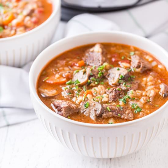 Instant Pot Beef Barley Soup - Recipe photo by pumpkinnspice