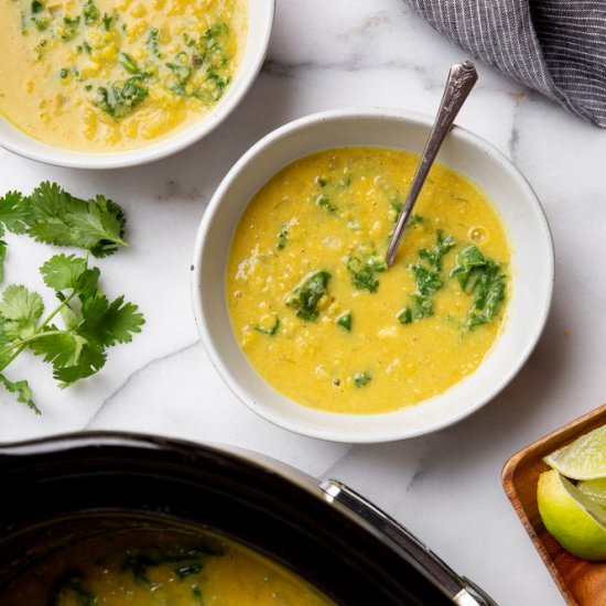 Curried Red Lentil Soup (Vegan) - Recipe photo by FromScratchFast