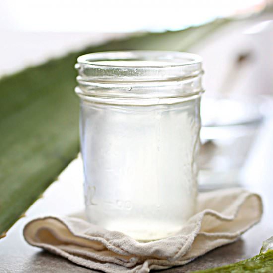 Aloe Vera Juice Recipe - Recipe photo by Delightful Mom Food