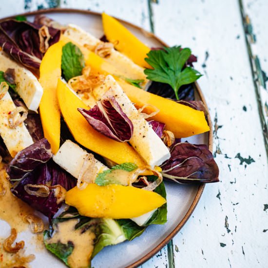 Paneer and Mango Salad - Recipe photo by heinstirred