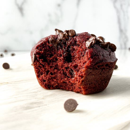 Protein Red Velvet Muffins - Recipe photo by sugarfacebakes