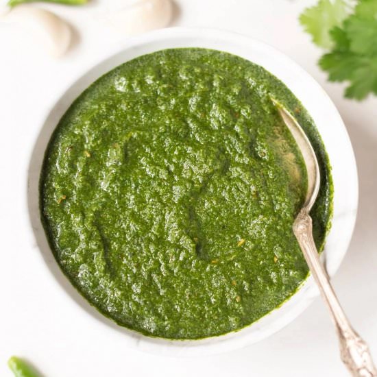 Mint Cilantro Chutney - Recipe photo by pipingpotcurry
