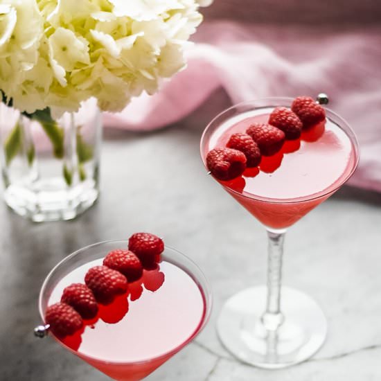 Raspberry Vodka Martini - Recipe photo by Theperksofbeingus