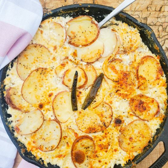 Serrano & Potato Gratin - Recipe photo by outwestfoodandlifestyle