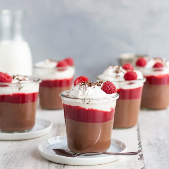 Milk Chocolate Raspberry Pudding - Recipe photo by islandbakes