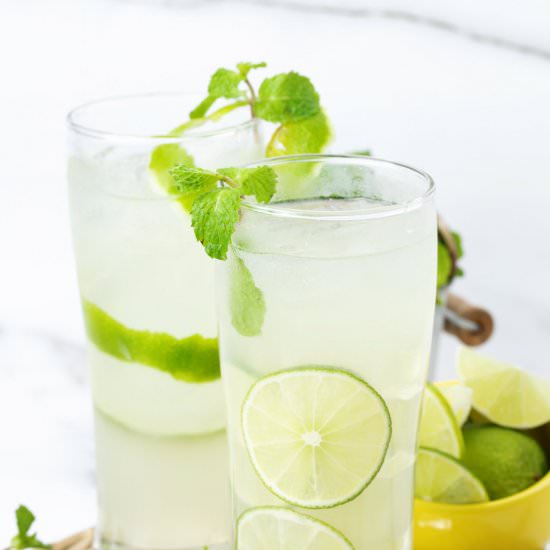 Vodka Gimlet (Vodka And Lime Juice) - Recipe photo by healthyrecipes101