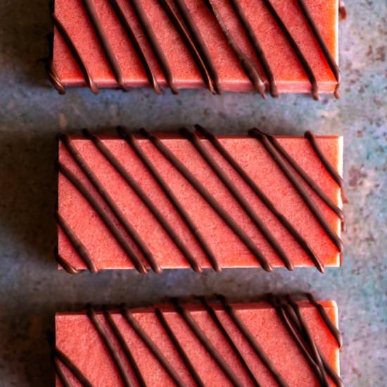 Raspberry Protein Bars - Recipe photo by primalwellnesscoach
