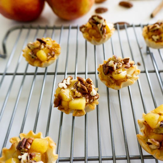 Apple Pie Bites - Recipe photo by Share the Spice