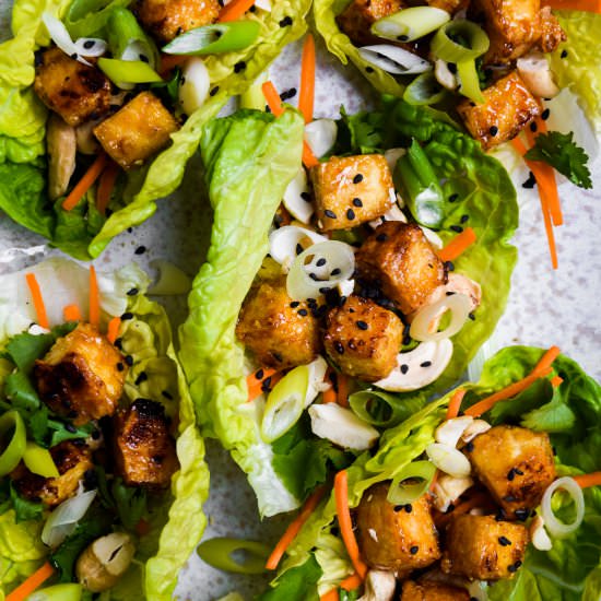 Teriyaki Tofu Lettuce Wraps - Recipe photo by missrachelphipps