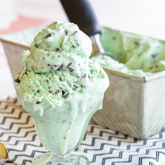 Mint Chocolate Chip Ice Cream - Recipe photo by cupcakesandkalechips