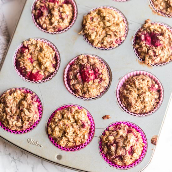 Raspberry Protein Oatmeal Muffins - Recipe photo by RandaDerkson